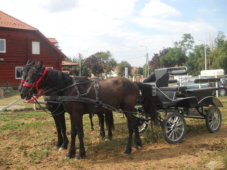 Roenk-Wellness Panzio Mezopeterd Bed & Breakfast Luaran gambar