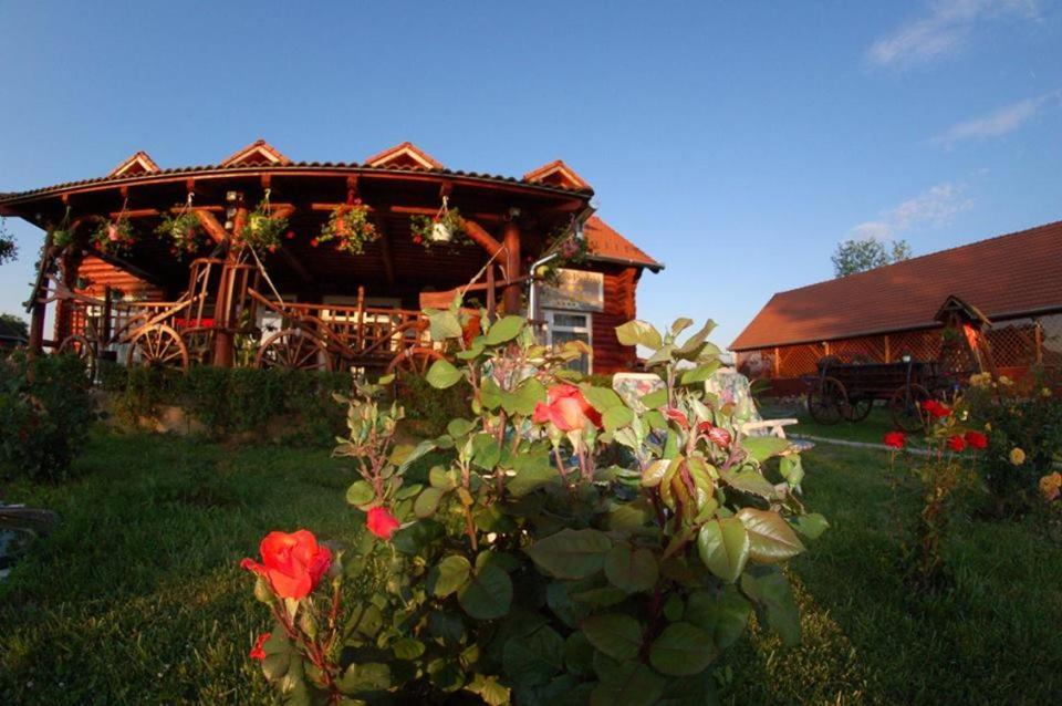 Roenk-Wellness Panzio Mezopeterd Bed & Breakfast Luaran gambar